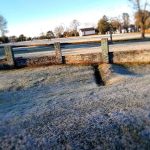 Ola polar en Misiones Posadas registro 1 °C y se reportaron heladas intensas 9 - 8